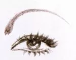 eyebrow shapes