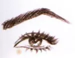 eyebrow shapes
