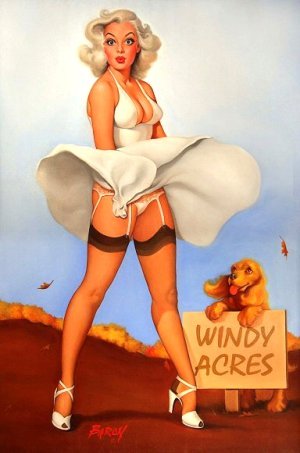 Pin Up gallery