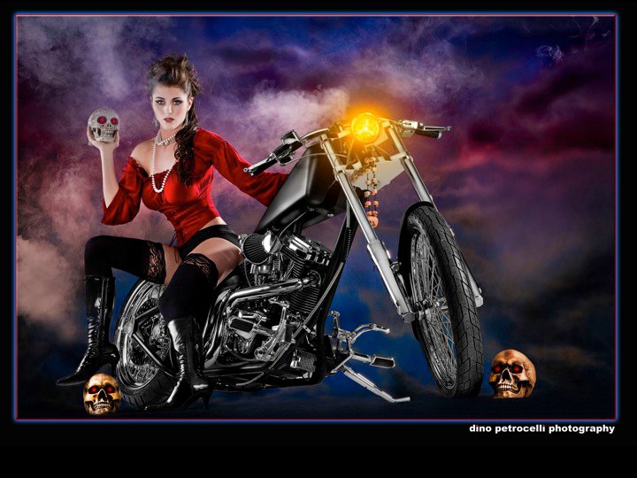 Dino Petrocelli Photo