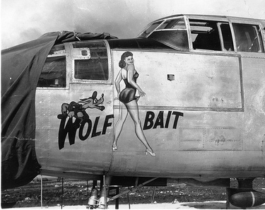 Nose Art