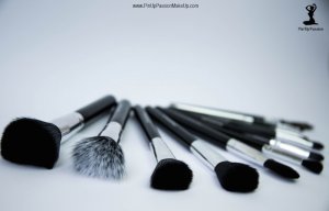 pin up passion makeup brush sets